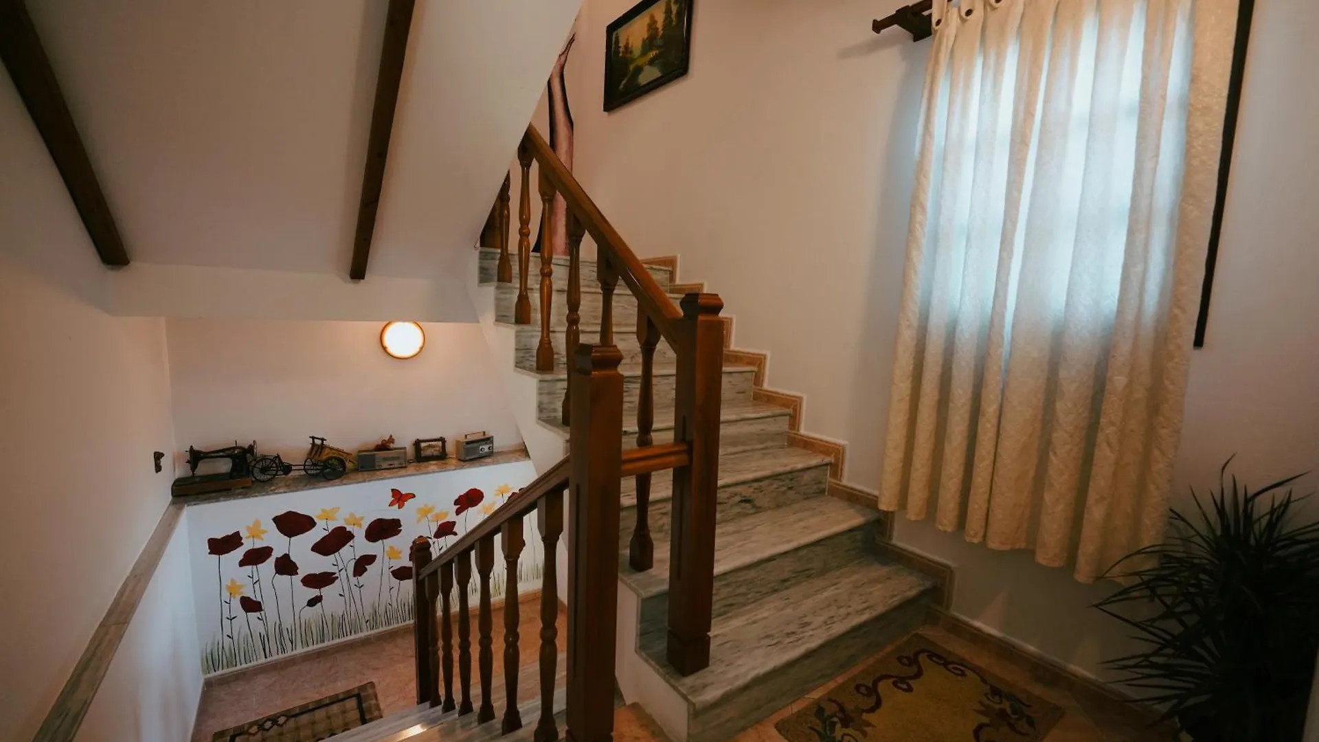 Maya Hostel Berat